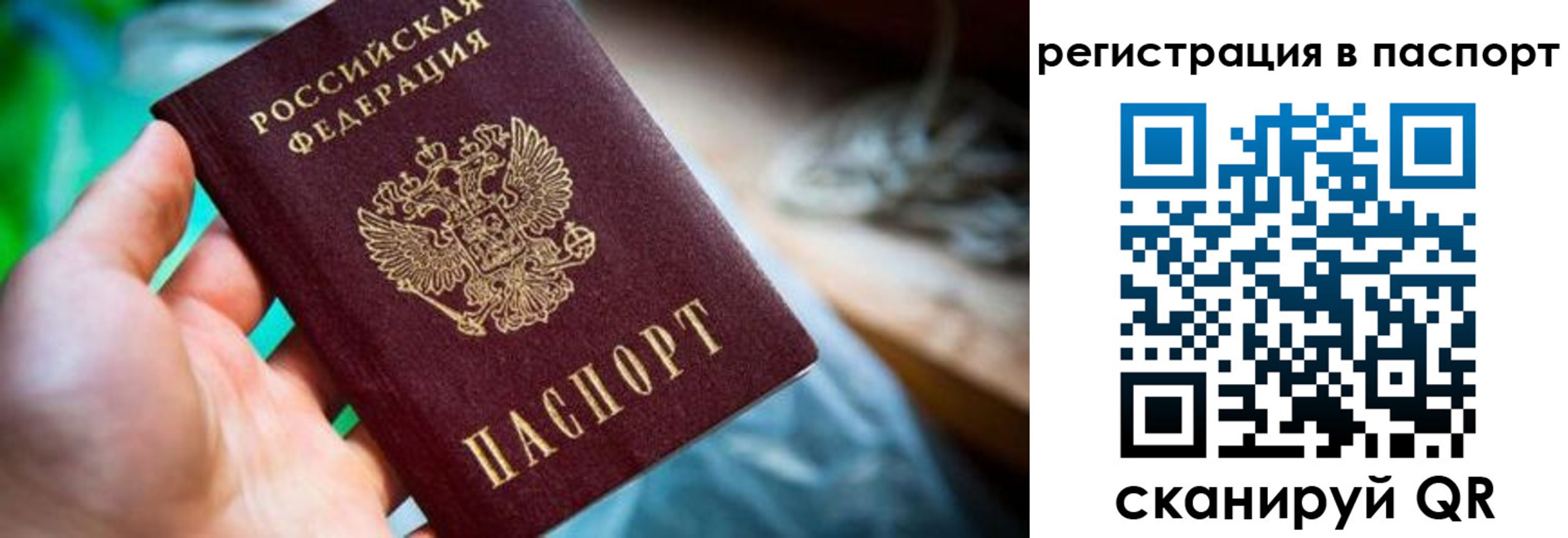 прописка регистрация в Смоленске